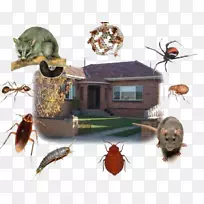 ɱ³æ¼Áº¦³æÈç?la lama b cek ila lama-À¥³æ-¿ÕÈôÍø ɱ³æ¼Áº¦³æÈç?la lama b cek ila lama-À¥³æ-¿ÕÈôÍø