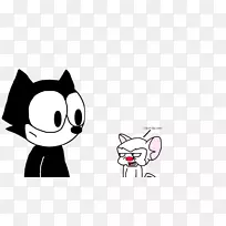 胡须,小猫,狗鼻子,猫-空若网 胡须,小猫,狗鼻子,猫-空若网