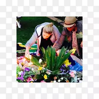 花卉设计花园开花植物设计-空若网 花卉设计花园开花植物设计-空若网