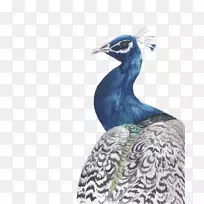 ¿×ȸˮ²Ê»Ë®²Ê»¿×ȸ-¿ÕÈôÍø ¿×ȸˮ²Ê»Ë®²Ê»¿×ȸ-¿ÕÈôÍø