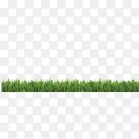 麦草草坪草甸树天空自然丛林景观-空若网 麦草草坪草甸树天空自然丛林景观-空若网