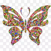 蝴蝶桌面壁纸昆虫剪贴画-蝴蝶-空若网 蝴蝶桌面壁纸昆虫剪贴画-蝴蝶-空若网