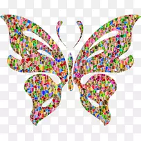 蝴蝶桌面壁纸昆虫剪贴画-蝴蝶-空若网 蝴蝶桌面壁纸昆虫剪贴画-蝴蝶-空若网