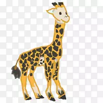 长颈鹿脖子陆地动物野生动物长颈鹿-空若网 长颈鹿脖子陆地动物野生动物长颈鹿-空若网