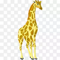 长颈鹿脖子陆地动物野生动物长颈鹿-空若网 长颈鹿脖子陆地动物野生动物长颈鹿-空若网