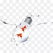 金鱼下载手绘灯泡-空若网 金鱼下载手绘灯泡-空若网