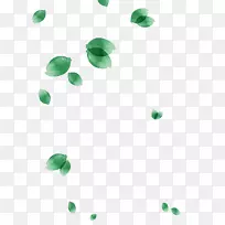 Ò¶Ë®²Ê»ÂÌÒ¶-¿ÕÈôÍø Ò¶Ë®²Ê»ÂÌÒ¶-¿ÕÈôÍø