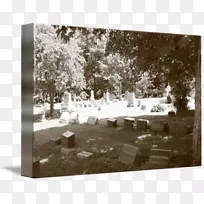 ������Ӱ��-������