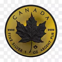 金币银币加拿大金币枫叶币-空若网 金币银币加拿大金币枫叶币-空若网