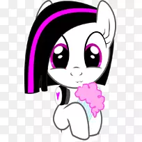 胡须猫鼻子夹艺术回音-空若网 胡须猫鼻子夹艺术回音-空若网