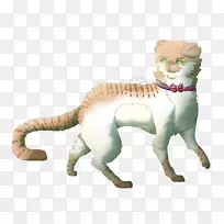 大猫陆生动物尾巴野生动物-猫-空若网 大猫陆生动物尾巴野生动物-猫-空若网