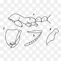 线条艺术手指卡通素描-两轮车-空若网 线条艺术手指卡通素描-两轮车-空若网