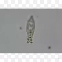 À¥³æ-¿ÕÈôÍø À¥³æ-¿ÕÈôÍø