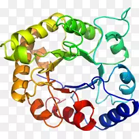 ���������л����߼�������-������