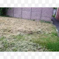 ����������ƺ�����ء���ƺ����-���-������