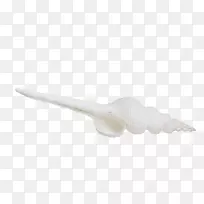 手指白海螺创意-空若网 手指白海螺创意-空若网