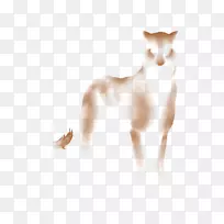 ����è������Ȯ��è-������