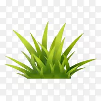 草网络媒体类型-草-空若网 草网络媒体类型-草-空若网