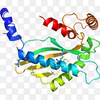 人体首饰有机体线剪贴画线-空若网 人体首饰有机体线剪贴画线-空若网