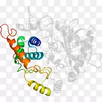 线点生物剪贴画线-空若网 线点生物剪贴画线-空若网