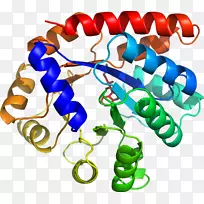 �����鱦�л��������.�鱦-������