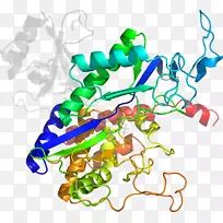 人体首饰有机体线剪贴画线-空若网 人体首饰有机体线剪贴画线-空若网