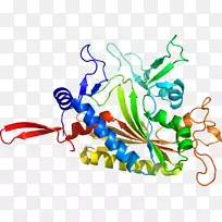 ����������ƽ����Ƽ�������-������