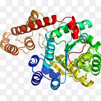 人体首饰有机体线剪贴画线-空若网 人体首饰有机体线剪贴画线-空若网