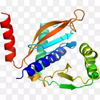 人体珠宝线剪贴画线-空若网 人体珠宝线剪贴画线-空若网