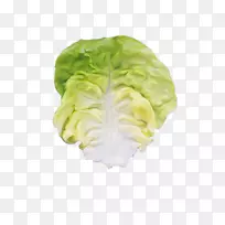 生菜叶蔬菜鲜叶-空若网 生菜叶蔬菜鲜叶-空若网