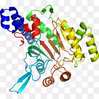 人体首饰有机体线剪贴画线-空若网 人体首饰有机体线剪贴画线-空若网