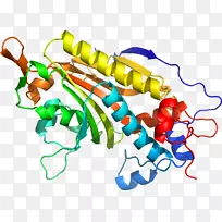 人体首饰有机体线剪贴画线-空若网 人体首饰有机体线剪贴画线-空若网