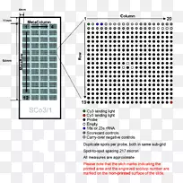 �ߵ���������-������