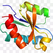 平面设计线有机体剪贴画设计-空若网 平面设计线有机体剪贴画设计-空若网