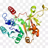 线点体珠宝厂茎夹艺术线-空若网 线点体珠宝厂茎夹艺术线-空若网