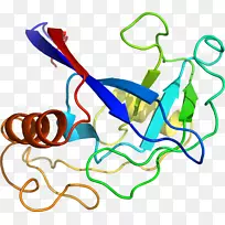 �ߵ������������-������