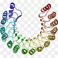 人体珠宝线有机体剪贴画线-空若网 人体珠宝线有机体剪贴画线-空若网