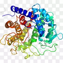 人体首饰有机体线剪贴画线-空若网 人体首饰有机体线剪贴画线-空若网