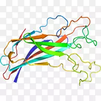 �ߵ������������-������