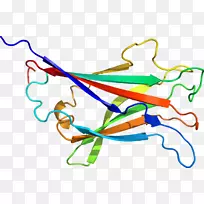 线点剪贴画-线-空若网 线点剪贴画-线-空若网