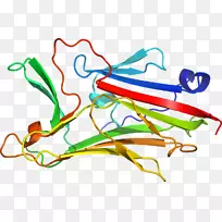 线点生物剪贴画线-空若网 线点生物剪贴画线-空若网