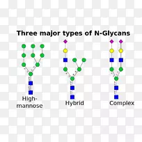 N-�����ǻ�����¶�����춬�����¶��-������