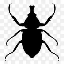 昆虫动物图标-甲虫轮廓-空若网 昆虫动物图标-甲虫轮廓-空若网