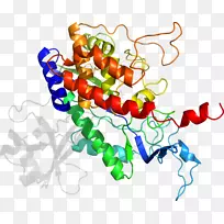 蔬菜有机体系列剪贴画-蔬菜-空若网 蔬菜有机体系列剪贴画-蔬菜-空若网