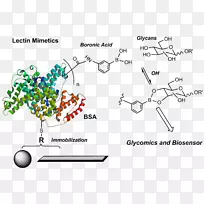ţѪ��׵��ױ����������ذ�����-������