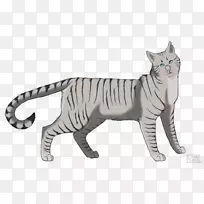 胡须大猫陆生动物野生动物猫-空若网 胡须大猫陆生动物野生动物猫-空若网