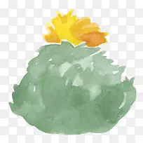 �����ƿ�ˮ�ʻ�������������-������