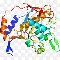 线点生物剪贴画线-空若网 线点生物剪贴画线-空若网
