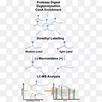 线点角图-线-空若网 线点角图-线-空若网