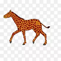 ����¹��è½�����ﾱ����¹-������